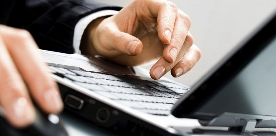 pinheiro desenvolvimento